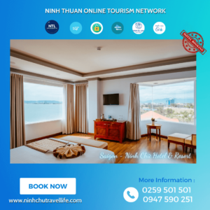 TOP khách sạn giá rẻ Ninh Thuận đẹp đáng dừng chân nhất
