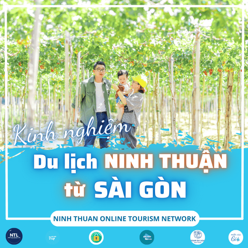 Những kinh nghiệm du lịch Ninh Thuận từ Sài Gòn được tìm kiếm nhiều nhất