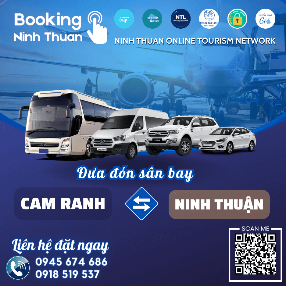 Thuê xe từ sân bay Cam Ranh đi Phan Rang